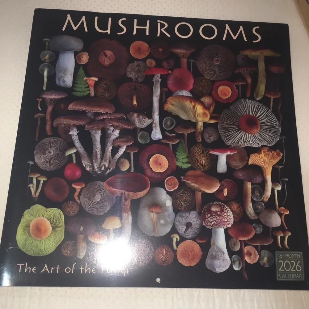 Moritz Schmid Art‎ of the Mushroom 2026 12